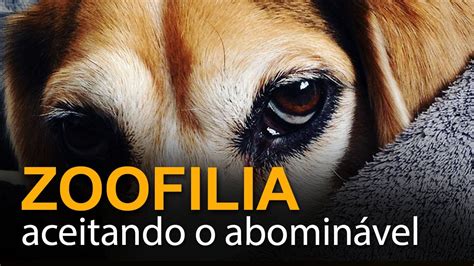 pornografia zoofilia|Vídeo porno Zoofilia .